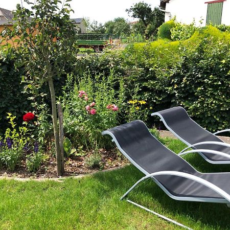 Vila Haus Zissi Burg Reuland Exteriér fotografie