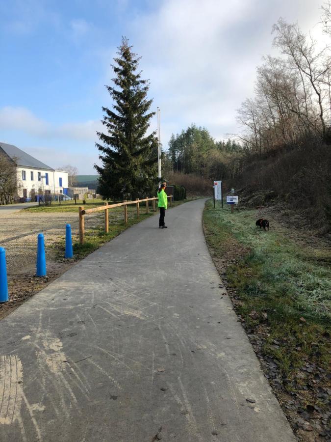 Vila Haus Zissi Burg Reuland Exteriér fotografie