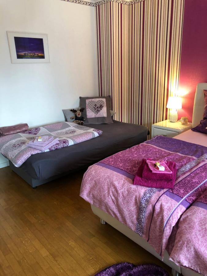 Vila Haus Zissi Burg Reuland Exteriér fotografie