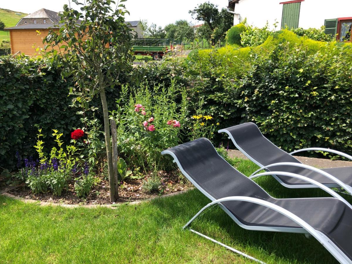 Vila Haus Zissi Burg Reuland Exteriér fotografie